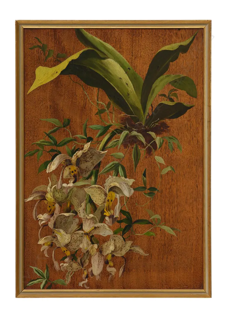 Unidentified painter - 'Orchids', Image 1++